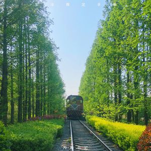 多强被❌c到爽🔞在线观看
